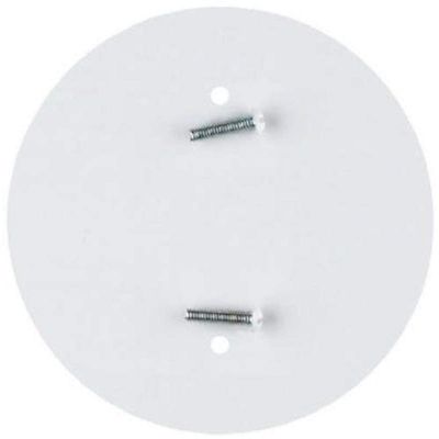 Westinghouse 7006500 White Outlet Concealer