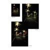 Tiffen 67mm 4 Point Star Filter view 2