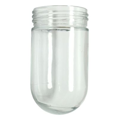 Westinghouse Other Clear Glass Shade 1 pk