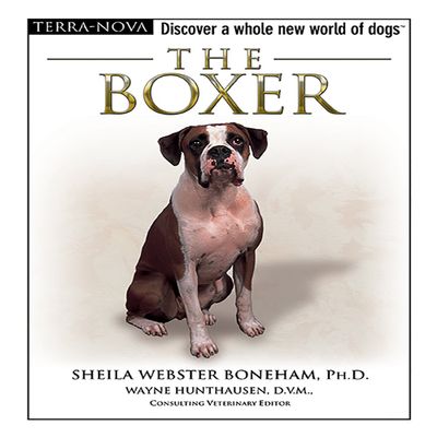 The Boxer (The Terra Nova Series)
