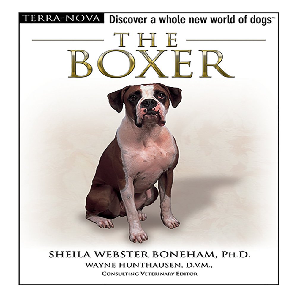 The Boxer (The Terra Nova Series)