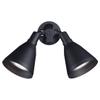 Progress Lighting 2-Light Swivel Flood Light, Black view 1