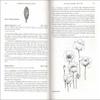Poppies: A Guide to the Poppy Family in the Wild and in Cultivation view 3