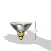 Sylvania # 14577 Capsylite PAR38 90 Watt 130 V Flood Beam Tungsten Halogen Reflector Bulb view 2