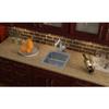 Elkay LFR1717 18 Gauge Stainless Steel 17" x 17.5" x 7.625" Single Bowl Top Mount Kitchen Sink view 4