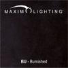 Maxim Lighting Coldwater Light Fixture | Burnished Aluminum Finish | Traditional Indoor Light Fixture | Dimmable Wet Rated | Home Decor Light Fixture | Coldwater Collection | 4055HOBU view 2