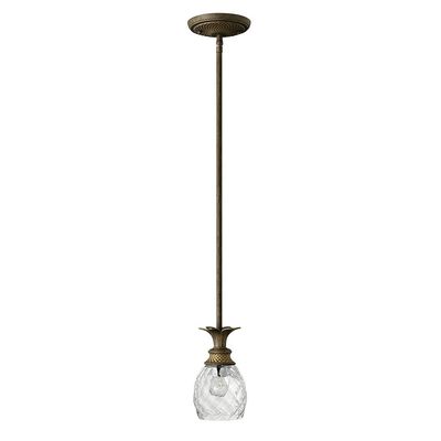 Hinkley Plantation 5317PZ One Light Pendant - Pineapple Motif, Clear Optic Glass Shade - Pearl Bronze