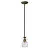 Hinkley Plantation 5317PZ One Light Pendant - Pineapple Motif, Clear Optic Glass Shade - Pearl Bronze view 1