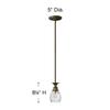 Hinkley Plantation 5317PZ One Light Pendant - Pineapple Motif, Clear Optic Glass Shade - Pearl Bronze view 2