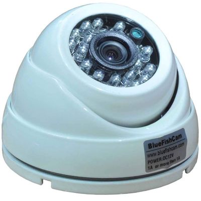 BlueFishCam Indoor Dome CCTV Camera Wide Angle Lens 3.6mm CMOS 1000TVL 24 LED Infrared Color with IR-Cut Motion Detection Security Camera
