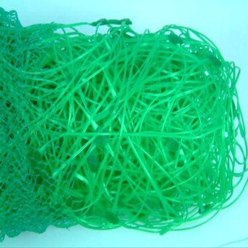 Apollo 4 x 2m Pea and Bean Net with 153mm Mesh