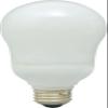 GE 89634 Energy Smart CFL 20-Watt (75-watt replacement) 1100-Lumen A19 Light Bulb with Medium Base, 1-Pack view 1