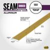 MD Building Seam Binder w/Screw Nails, Satin Brass, 3/4in x 36in view 2
