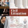 Civil Litigation view 1