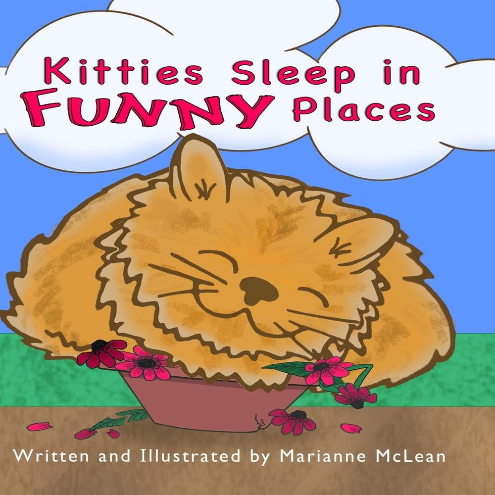 Kitties Sleep in Funny Places