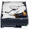 Western Digital WD5002ABYS RE3 3.5-inch Enterprise SATA Hard Drive (500 GB, 1.2 million hours MTBF, 16 MB Cache, 7200 RPM) view 3