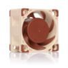 Noctua NF-A4x20 5V PWM, Premium Quiet Fan, 4-Pin, 5V Version (40x20mm, Brown) view 1