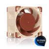 Noctua NF-A4x20 5V PWM, Premium Quiet Fan, 4-Pin, 5V Version (40x20mm, Brown) view 2