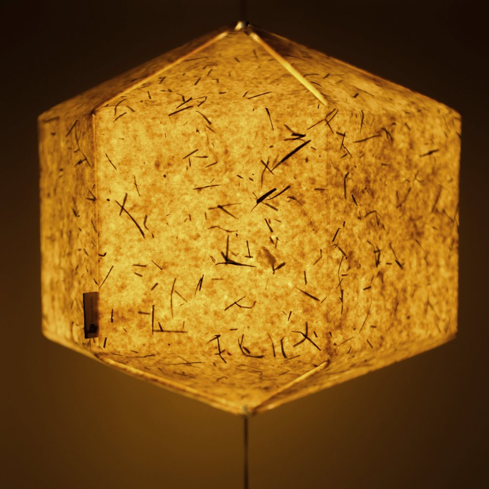 Brownfolds Paper Lantern; Handmade Paper With Real Grass White