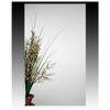 Alno MC21244-SS Mirror Cabinets, Stainless Steel view 1