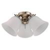 Westinghouse 7784800 Three LED Cluster Ceiling Fan Light Kit, Antique Brass Finish with Frosted Ribbed Glass, 1 Pack, White view 1