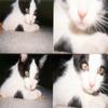 Lomography ActionSampler Camera (Clear) view 3