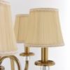Aiwen Wrought Iron Chandelier Polished Brass 3 Lights Crystal Beads Decorate Ceiling Lighting H19.2" x W18" view 4