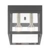 Livex Lighting 20588-01 Nyack 2-Light Ceiling Mount, Antique Brass view 3