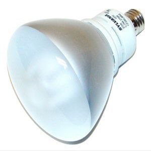 OSRAM SYLVANIA 29399 CF20EL/BR40/2700K Bulb