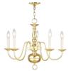 Livex Lighting 5005-07 Williamsburgh Chandelier view 3