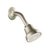 Cleveland Faucets 42916BNGR Single-Function Eco-Performance Showerhead, Brushed Nickel view 1