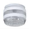 B&P Lamp MEDIUM Disk Shaped Porch and Utility Room Glass Shade (8 3/8") view 3