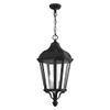 Livex Lighting 3-Light Pendant view 2