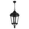 Livex Lighting 3-Light Pendant view 3