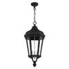Livex Lighting 3-Light Pendant view 4
