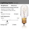 Moflekja Himalayan Salt Lamp Bulbs, T20 25W Original Replacement Long Lasting Incandescent Candelabra Light Bulbs E12 Socket, 120V 2700K Warm White, Pack of 12 view 2