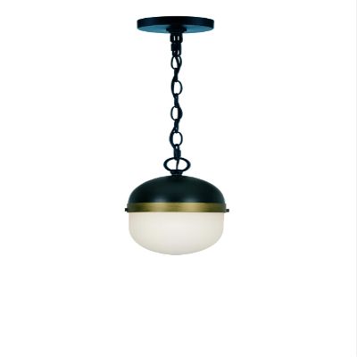Crystorama Capsule 3 Light Matte Black + Textured Gold Outdoor Pendant