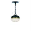 Crystorama Capsule 3 Light Matte Black + Textured Gold Outdoor Pendant view 1