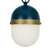 Crystorama Capsule 3 Light Matte Black + Textured Gold Outdoor Pendant view 4