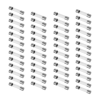 YIOVVOM F3AL250v Fuse, 50 Pcs 3 A fuses 5x20mm Fast-Blow Glass Fuses Replacement for Traeger, Pit Boss, Grills & Grilla Wood Pellet Grills and Smoker (3 Amp)