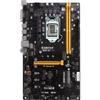 Biostar 198118 Motherboard Tb250-btc Core I7/i5/i3 Lga1151 B250 Ddr4 Sata Pci Express Usb Atx Retail view 2