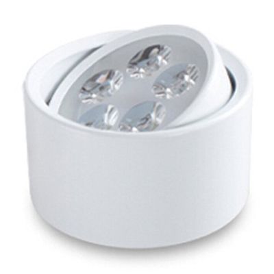 BRILLRAYDO 5W LED Ceiling Down Light Fixture Spot Lamp Bulb Pure White White S...