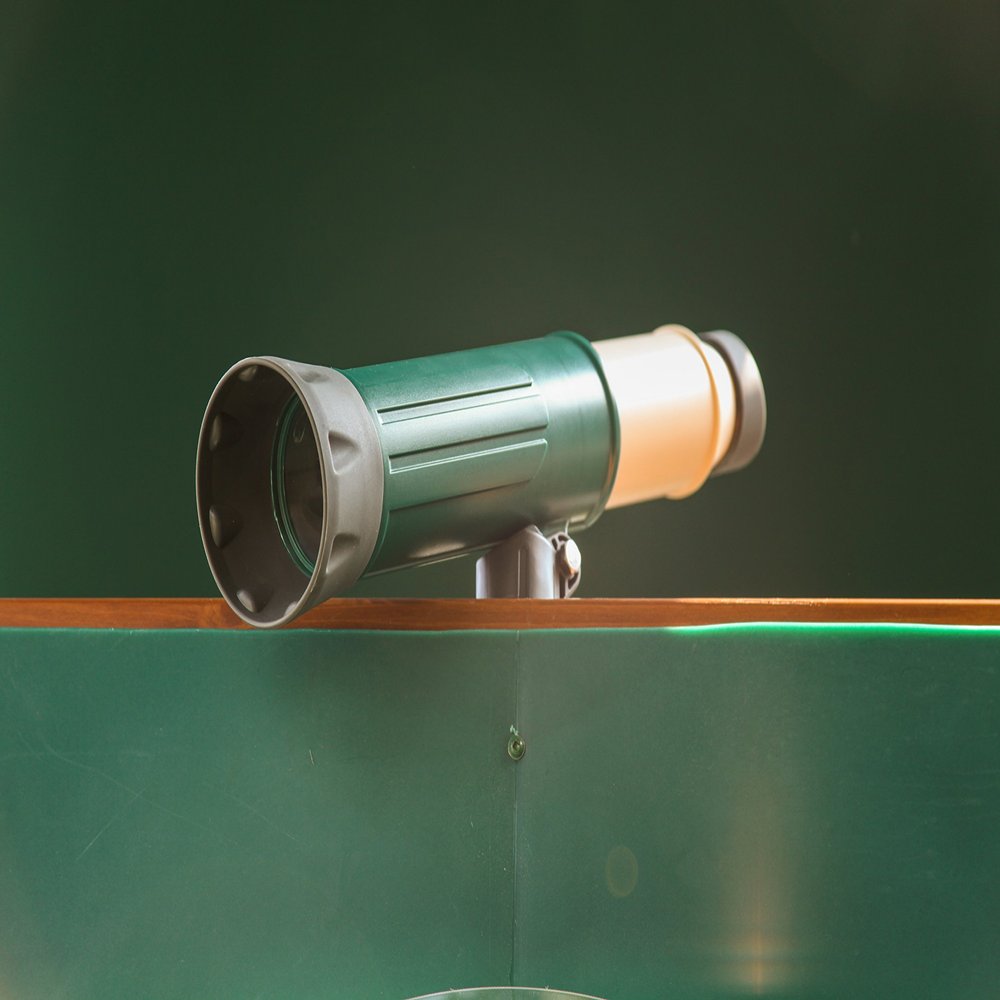 Swing Kingdom Magnifying Telescope (Green)