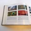 Photoatlas of Inclusions in Gemstones, Vol. 1 view 3