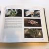 Photoatlas of Inclusions in Gemstones, Vol. 1 view 4
