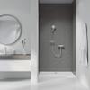 Grohe 28388000 Silverflex Non-Metallic Hose view 3