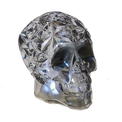 Lighted LED Skeleton Skull Halloween Decor