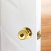 Design House 782912 Ball Passage Hall and Closet Door Knob, Polished Brass view 4