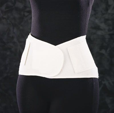 Back Support - Small support belt with mesh back panel that can be worn under clothing.