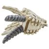 Snarling Magical Dragon Skull Treasure Trinket Box view 4